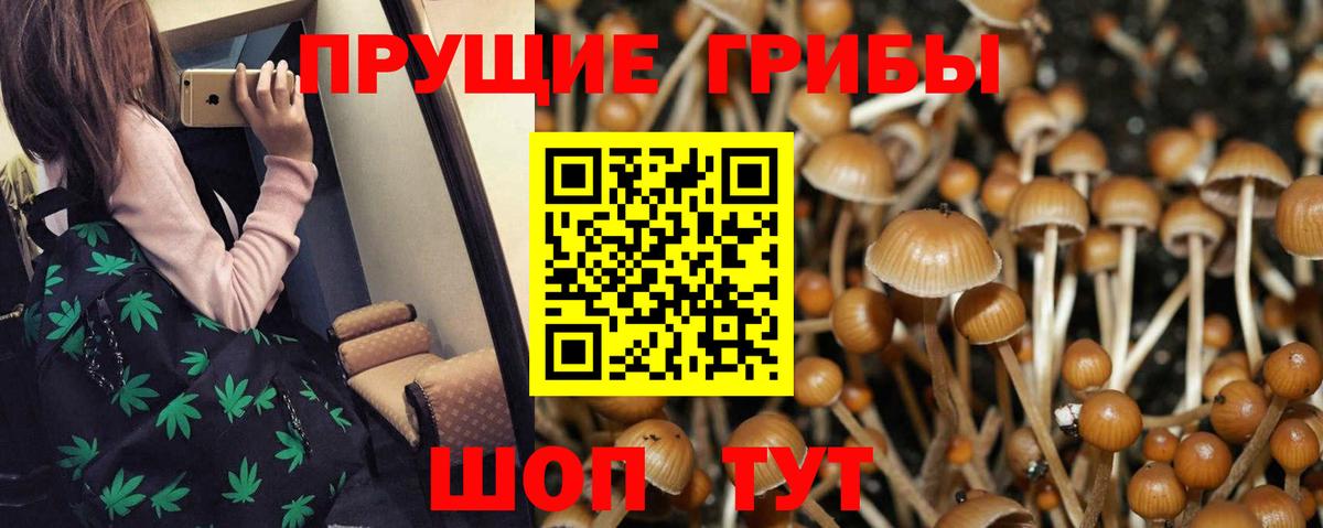 Псилоцибиновые грибы мицелий Нововоронеж