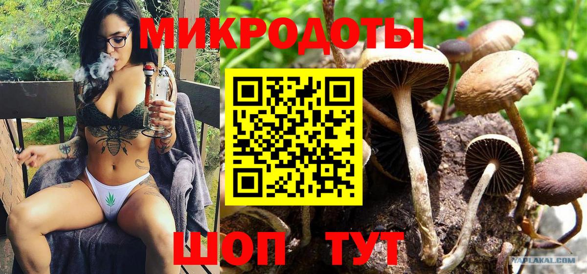 Галлюциногенные грибы мицелий  Вход с VPN  Нововоронеж 